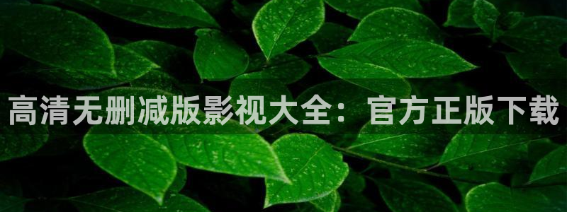 神马免费伦理影院