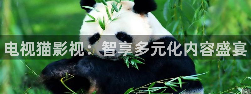 成人伦理影视网