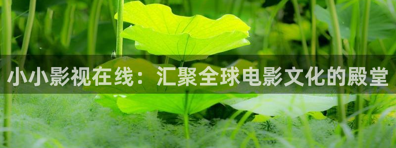飘花伦理影视
