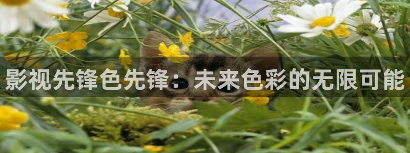 神马伦理影院在线观看